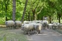 2019-04-18 15-46-39 Parc de la Courneuve DLe